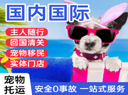 龙洞堡航空运输国际宠物托运 【国
